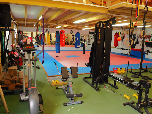 Rei Koshiki Gimnasio Reocin en Puente San Miguel, Cantabria