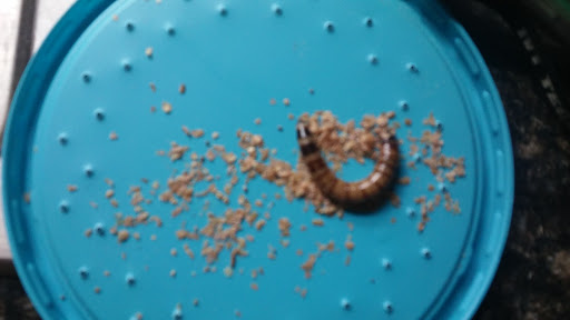 Bait Shop «The Bait Barn», reviews and photos, 3241 N Arlington Ave, Indianapolis, IN 46218, USA