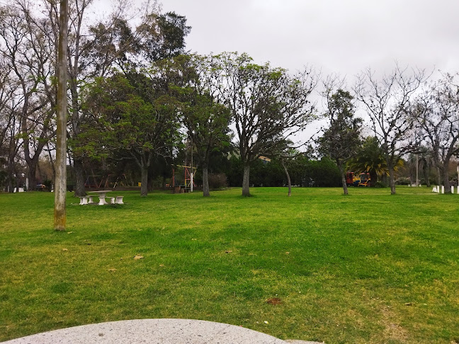 Parque José Enrique Rodó - Camping