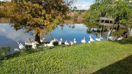 Amusement Park «Gatorland», reviews and photos, 14501 S Orange Blossom Trail, Orlando, FL 32837, USA