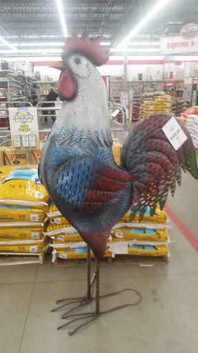 Home Improvement Store «Tractor Supply Co.», reviews and photos, 10870 Balls Ford Rd, Manassas, VA 20109, USA