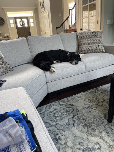 Furniture Store «Levin Furniture», reviews and photos, 400 Chauvet Dr, Pittsburgh, PA 15275, USA