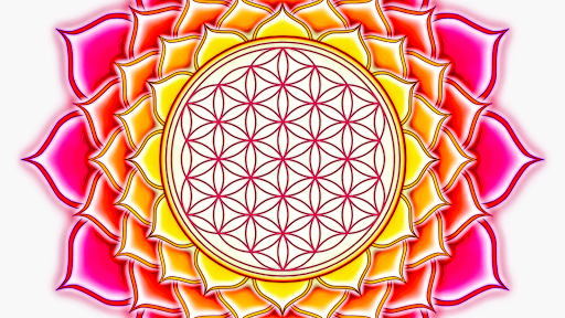 194x228