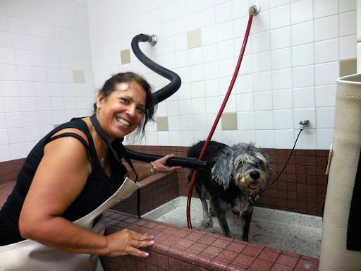 Pet Supply Store «Pet Food Express», reviews and photos, 39010 Paseo Padre Pkwy, Fremont, CA 94538, USA