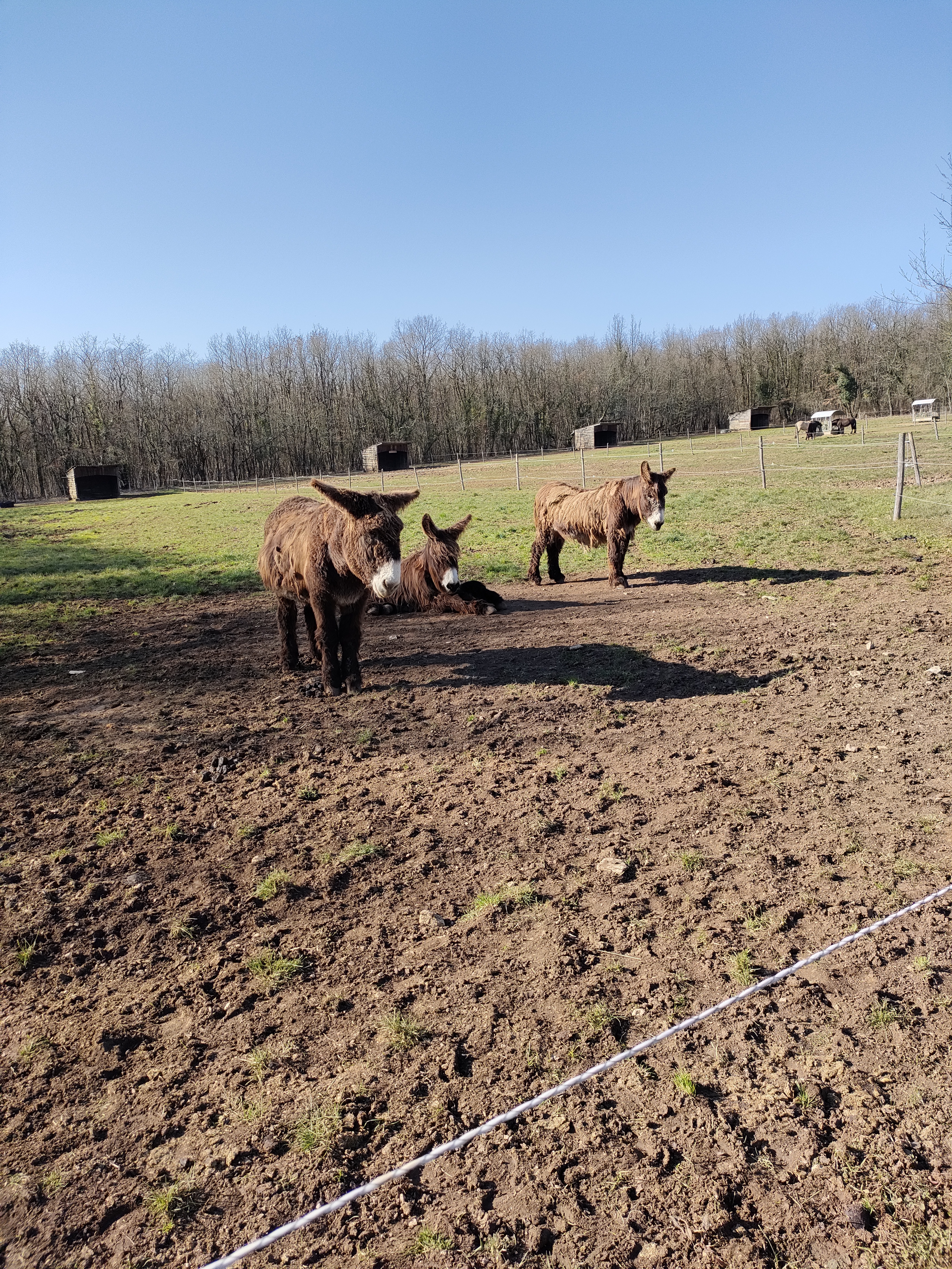 Photo n° 2 de l'avis de Laura.O fait le 28/02/2023 à 11:51