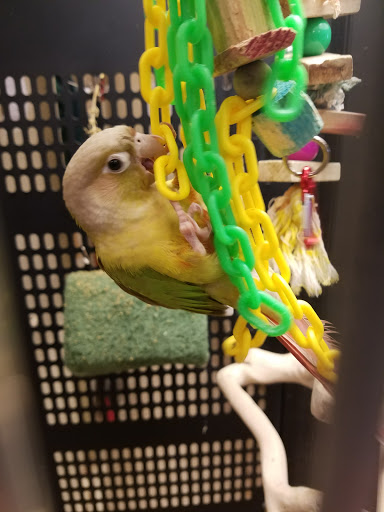 Pet Supply Store «PetSmart», reviews and photos, 7260 Orchard Lake Rd, West Bloomfield Township, MI 48322, USA