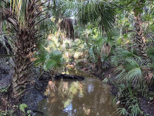 County Government Office «Brevard County Enchanted Forest Sanctuary», reviews and photos, 444 Columbia Blvd, Titusville, FL 32780, USA