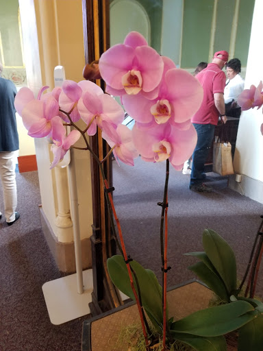 Museum «Smithsonian Castle», reviews and photos, 1000 Jefferson Dr SW, Washington, DC 20560, USA