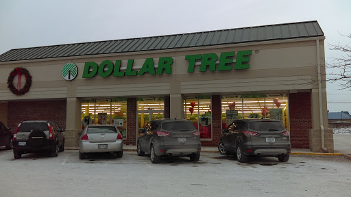 Dollar Tree, 8491 Grand River Ave, Brighton, MI 48116, USA, 