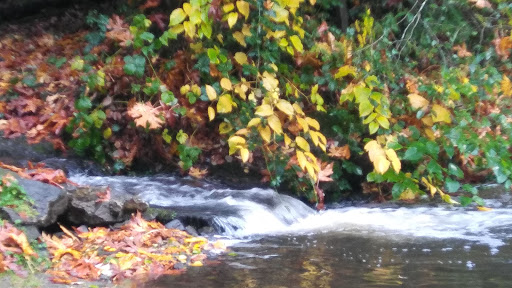 Park «Mill Creek Canyon Earthworks Park», reviews and photos, 100 Reiten Rd, Kent, WA 98030, USA