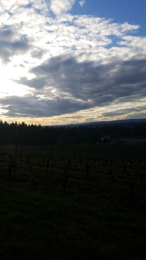 Winery «Christopher Bridge Wines», reviews and photos, 12770 S Casto Rd, Oregon City, OR 97045, USA
