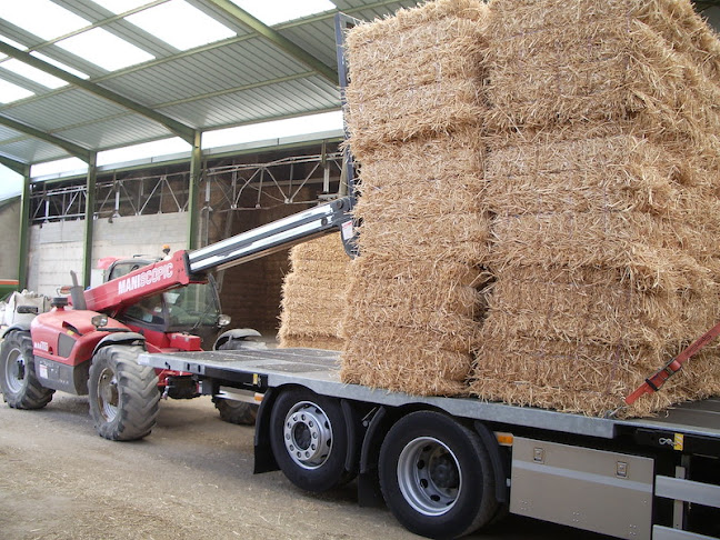 Reichenbach Transporte AG - Transportunternehmen in Saanen - Mietwagenanbieter