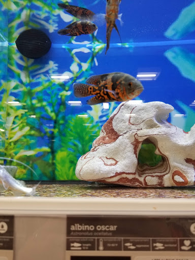 Pet Supply Store «Petco Animal Supplies», reviews and photos, 10235 Indianapolis Blvd, Highland, IN 46322, USA