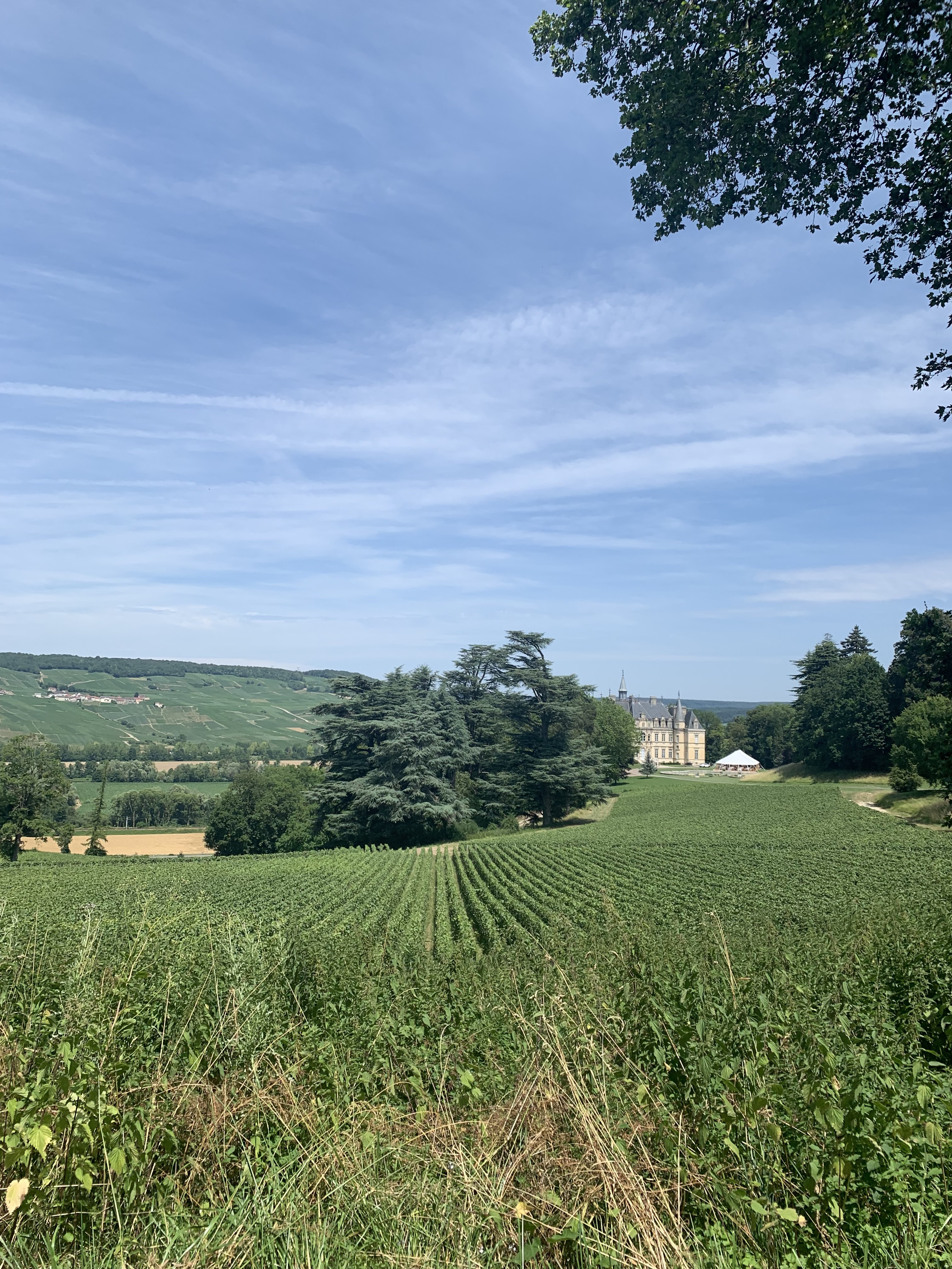 Photo n° 2 de l'avis de Cécile.l fait le 12/07/2023 à 07:27