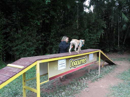 Parque de Mascotas 
