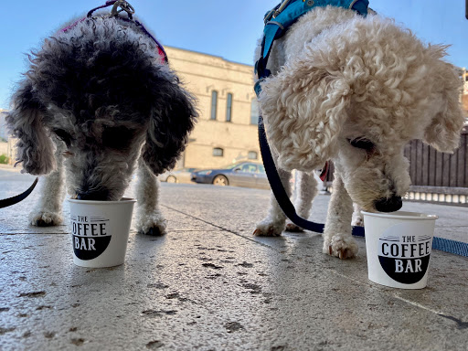 Coffee Shop «Root Cellar Bakery & Catering Co.», reviews and photos, 142 N LBJ Dr, San Marcos, TX 78666, USA