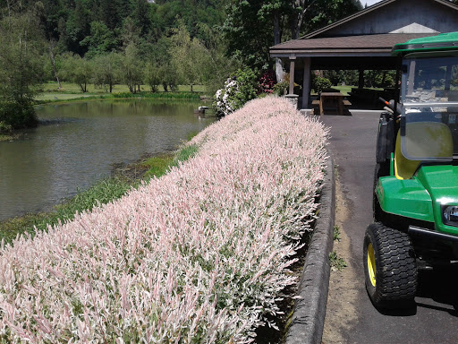 Golf Club «High Cedars Golf Club», reviews and photos, 14604 149th St Ct E, Orting, WA 98360, USA