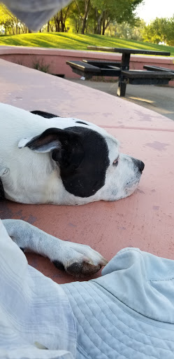 Park «Rainbow Family Park», reviews and photos, 7151 W Oakey Blvd, Las Vegas, NV 89117, USA