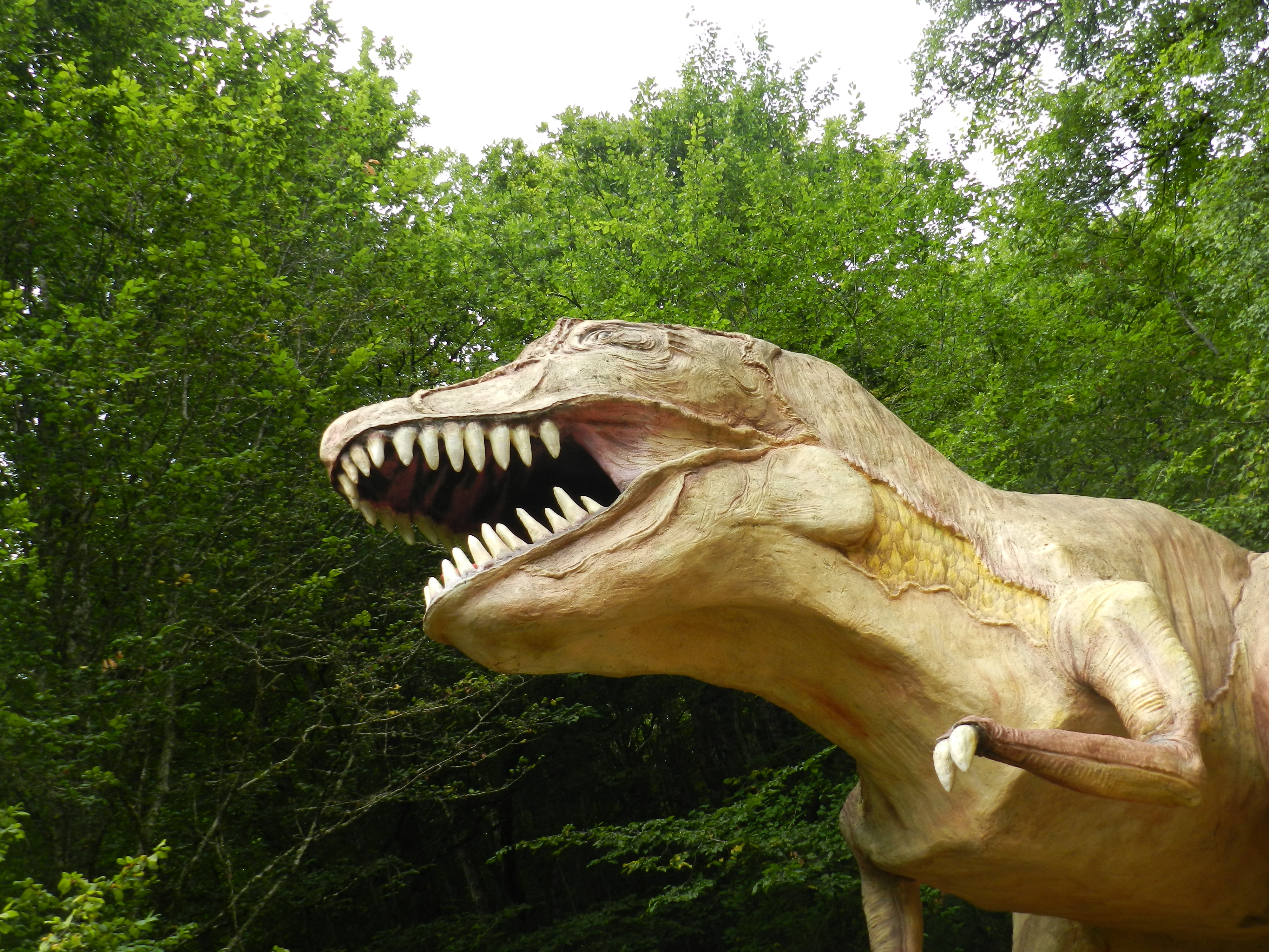 Photo n° 2 de l'avis de Jays. fait le 17/04/2019 à 06:40