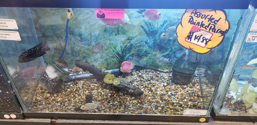 Pet Supply Store «Petland Discounts - Park Slope», reviews and photos, 510 5th Ave, Brooklyn, NY 11215, USA