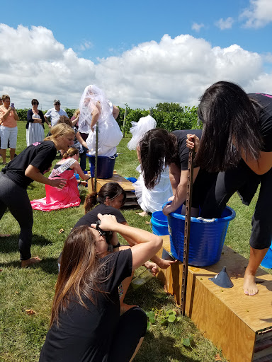 Vineyard «Stone Pillar Vineyard & Winery», reviews and photos, 11000 S Woodland St, Olathe, KS 66061, USA