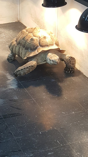 Pet Store «Pets Plus», reviews and photos, 151 Lincoln Hwy, Fairless Hills, PA 19030, USA