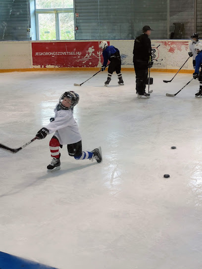 Marczi Skate Jégkorong bolt - Váci út