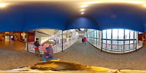 Dave & Busters - photo 51