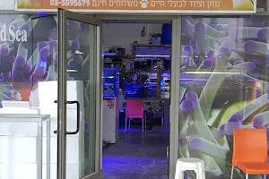 נטפיש - חנות אקווריומים, ציוד לאקווריום, דגי נוי וציוד לחיות image