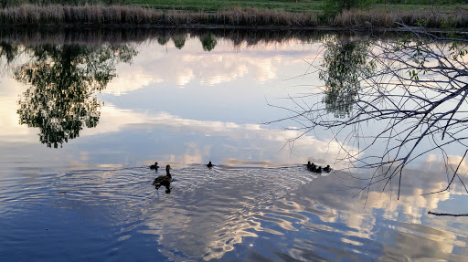 Park «Westminster City Park», reviews and photos, 10455 N Sheridan Blvd, Westminster, CO 80020, USA