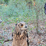 Photo n°5 de l'avis de Daniele. fait le 08/11/2022 à 06:54 sur le  Il Bosco di Paliano à Paliano