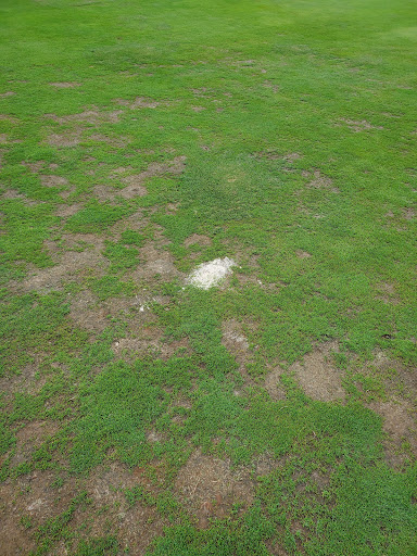 Golf Course «Renaissance Park Golf Course», reviews and photos, 1525 W. Tyvola Drive, Charlotte, NC 28217, USA