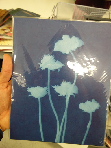 Thrift Store «Goodwill Aurora - E. Iliff», reviews and photos, 15509 E Iliff Ave, Aurora, CO 80013, USA