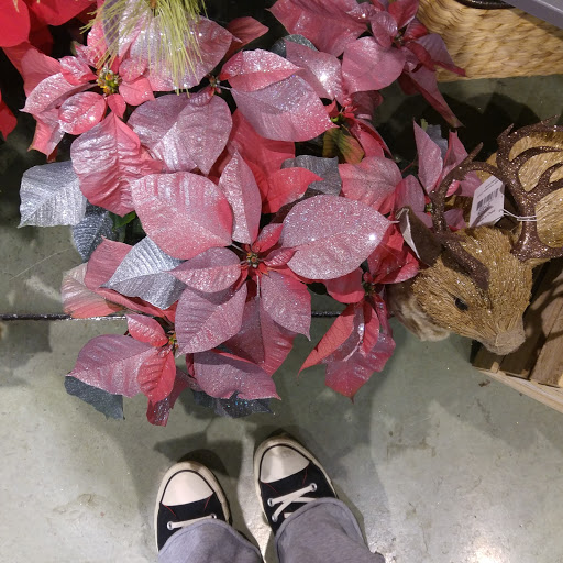 Grocery Store «Schnucks», reviews and photos, 245 E 5th St, Eureka, MO 63025, USA