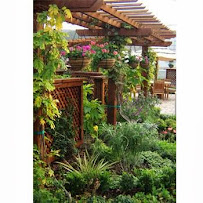 Designs by Theresa Landscape - Photo 3 - Car repair in , Daly City