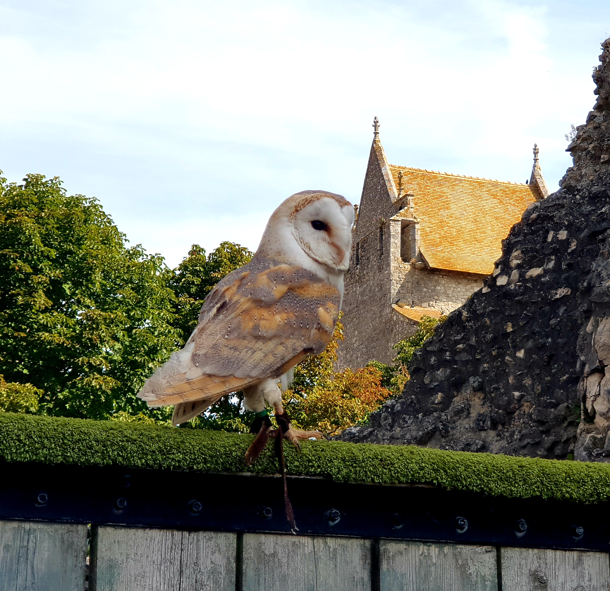 Photo n° 33 de l'avis de Jessika-celia.u fait le 21/08/2019 à 21:49