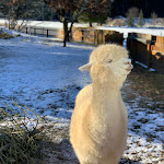 Photo n°1 de l'avis de Andi.a fait le 21/01/2024 à 22:48 sur le  Brugger's Hotelpark am See à Titisee-Neustadt