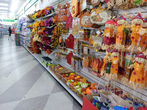 Dollar Store «Dollar Tree», reviews and photos, 1551 Missouri Ave N, Largo, FL 33770, USA