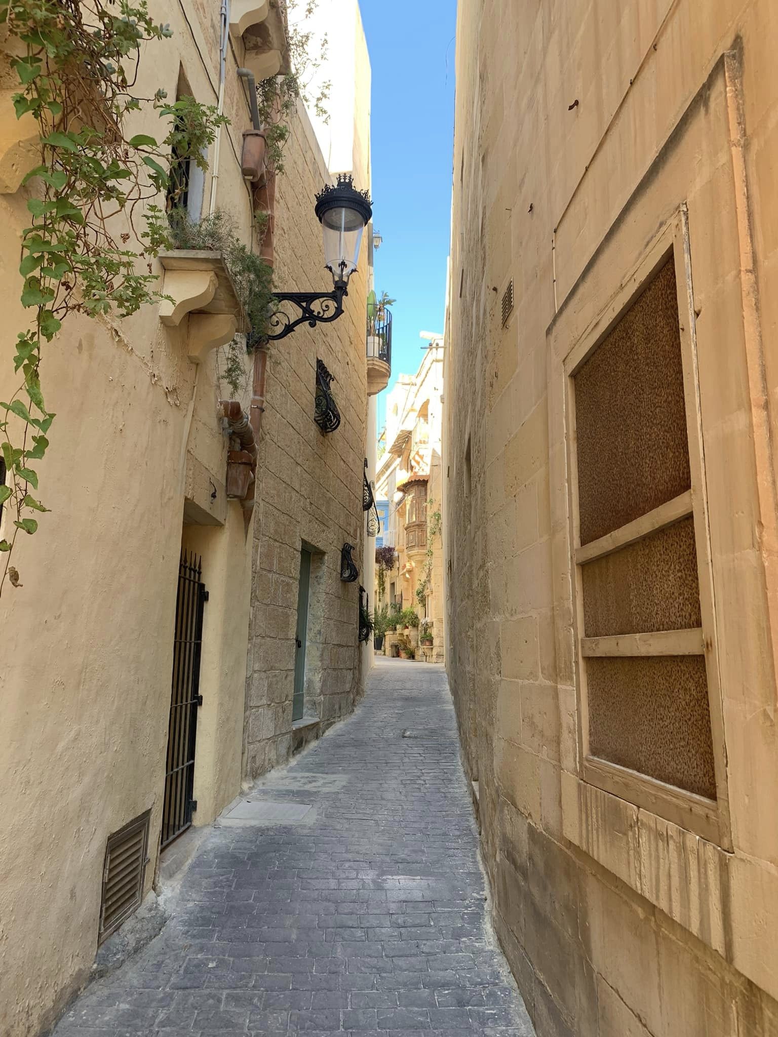 Photo n° 14 de l'avis de LUCAS.E fait le 11/10/2022 à 19:21