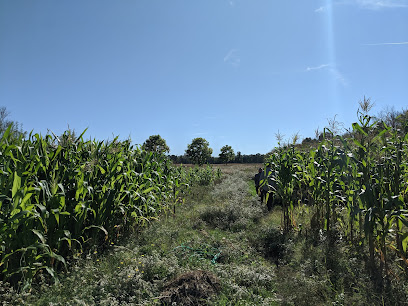 Bhujel's Farm