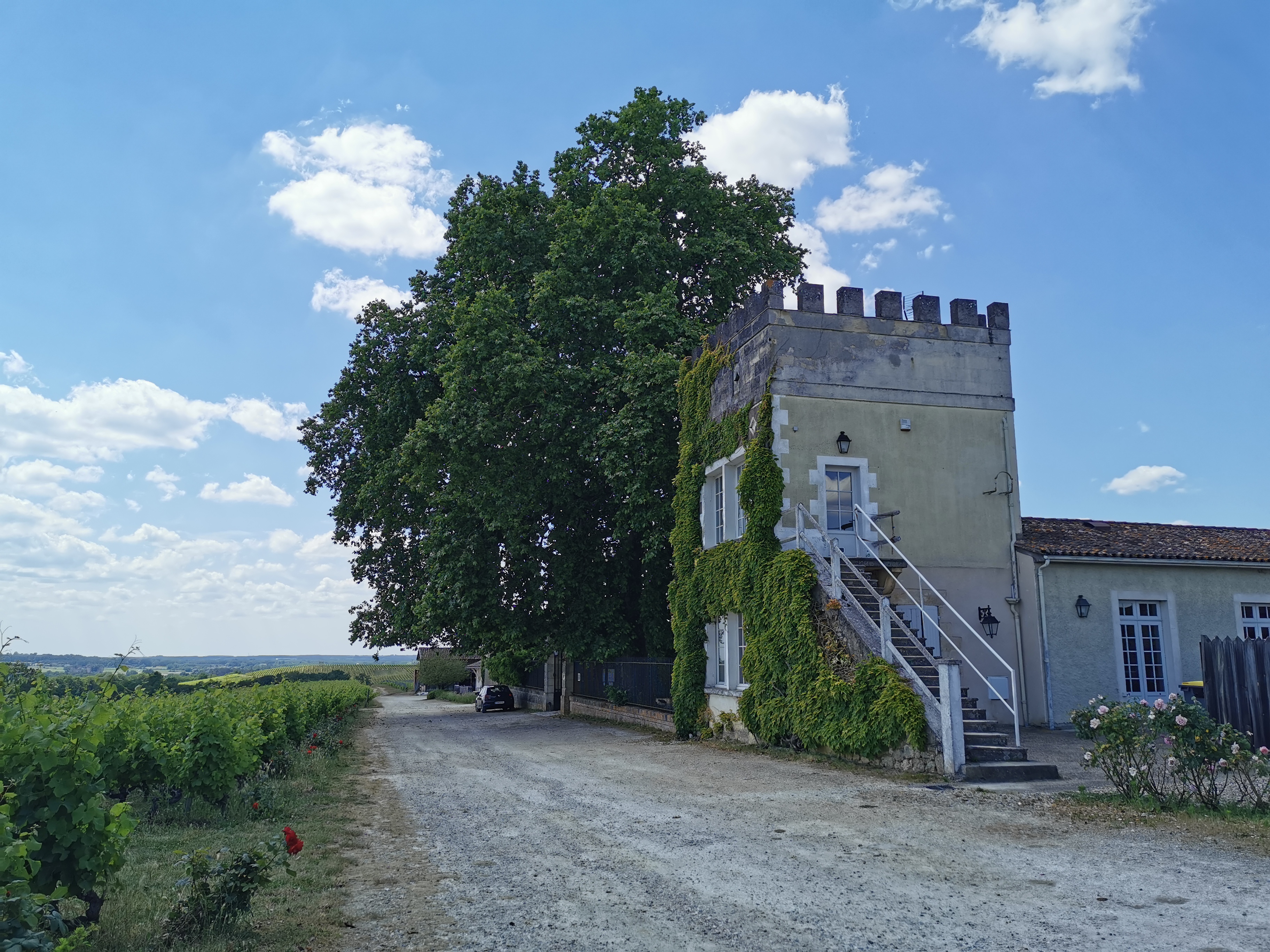 Photo n° 1 de l'avis de Timothé.i fait le 31/05/2020 à 17:46