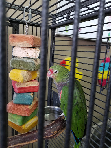 Pet Store «Wildside Pets», reviews and photos, 1042 N Higley Rd #105, Mesa, AZ 85205, USA