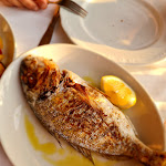 Photo n°4 de l'avis de Chrissy.a fait le 28/05/2023 à 23:04 sur le  Trattoria dal Billy à Manarola