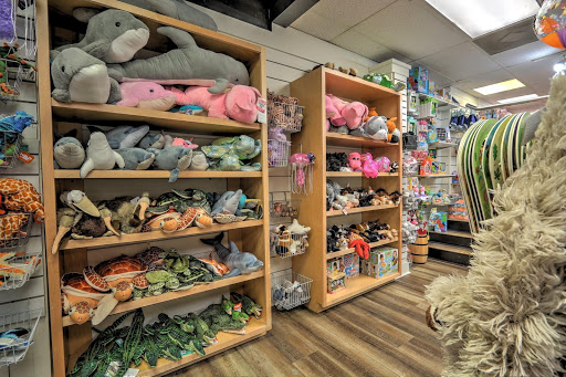 Toy Store «Boomerang Toy Store», reviews and photos, 1 N Forest Beach Dr # B1-4, Hilton Head Island, SC 29928, USA
