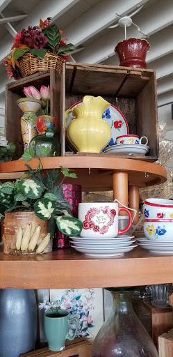 Store «Second Chance Thrift Store», reviews and photos, 105 Central Ave, Pacific Grove, CA 93950, USA