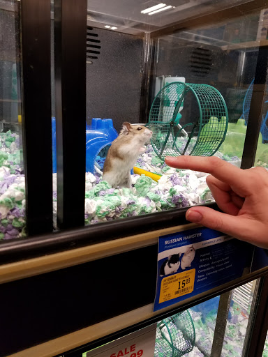 Pet Supply Store «PetSmart», reviews and photos, 2858 Willamette St, Eugene, OR 97405, USA
