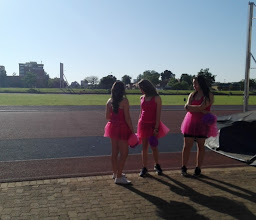 Kings Park Rose Garden photo