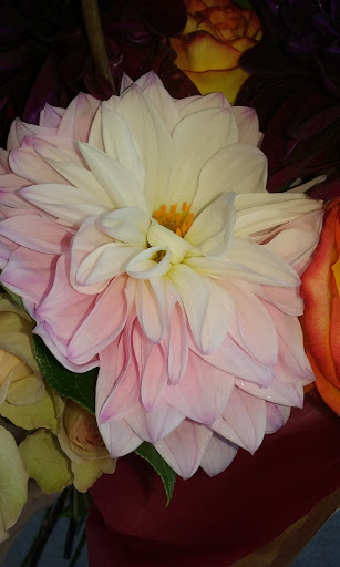 Florist «Rainbow Flowers», reviews and photos, 1070 University Ave, San Diego, CA 92103, USA