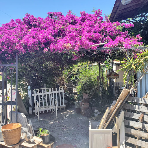 Thrift Store «Stained Market Place», reviews and photos, 2106 E 15th Ave, Tampa, FL 33605, USA