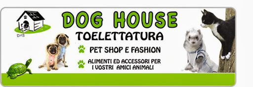 Pensioni per cani e dog hotel a Dog House Malo (Toelettatura)